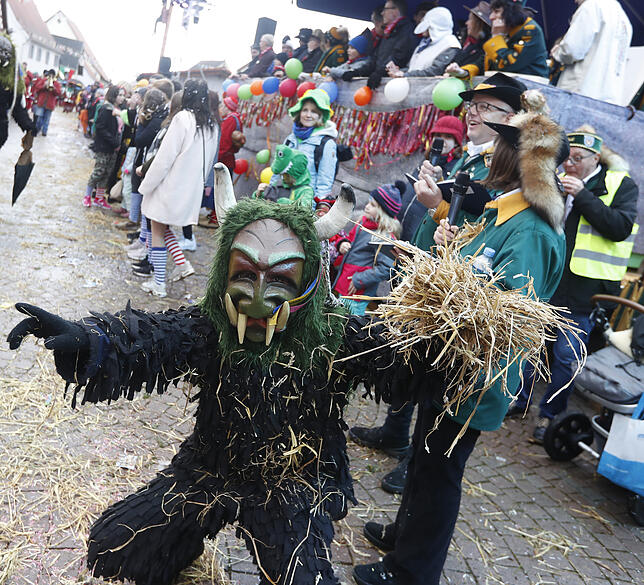 Bild 40: Bilder zum großen Narrentreffen in Pfohren (4)