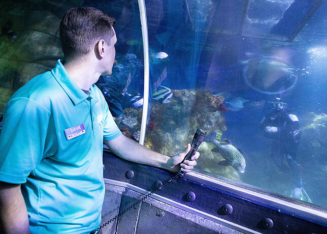 Bild 2: Verborgenes Konstanz: Wie ein Team von Aquaristen im Sea Life eine künstliche Unterwasserwelt zum Leben erweckt