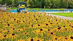 Herbst-Flair im Villinger Kneippbad: Die Herbstblumen blühen, das Schwimmerbecken ist leer. Ab dieser Woche machen die BVS-Mitarbeiter ...