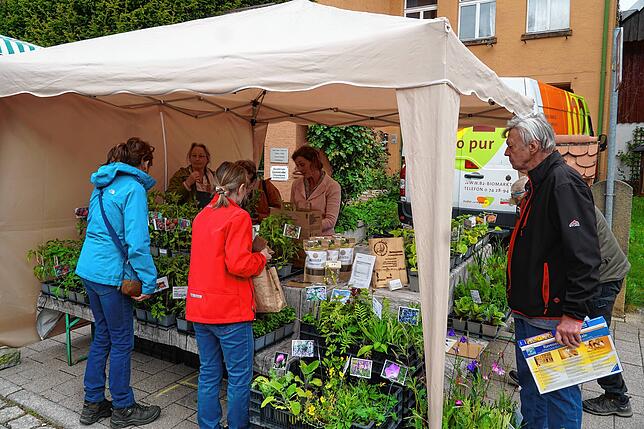 Bild 17: Alle Bilder vom Naturparkmarkt in Königsfeld