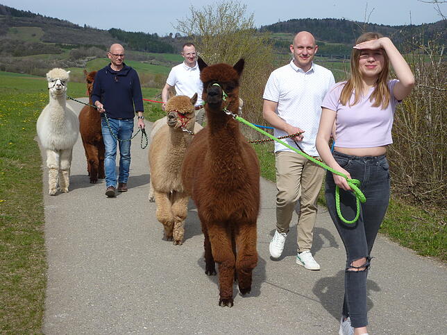 Wenn die Familie Braun mit ihren Alpakas durch Fützen spazierengeht, gibt es viele erstaunte Blicke. Diese hübschen Tiere sieht man ...