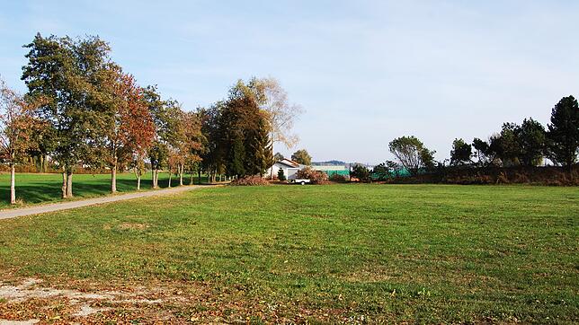 Auf der grünen Wiese neben dem Sportplatz möchte eine Firma bauen. Bild: Jan Riebesehl