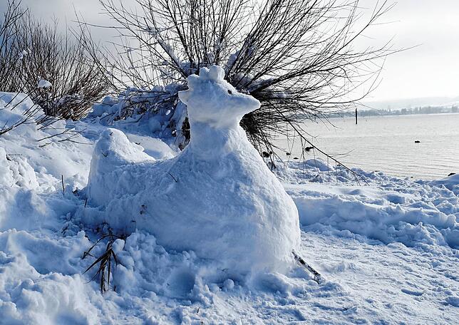 Bild 13: Ein Traum in Weiß: Das Konstanzer Wochenende im Schnee
