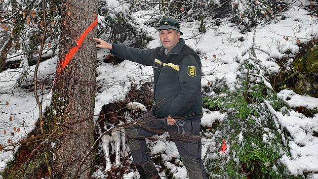 Preisgekrönt: Der Leiter ForstBW, Bezirk Südschwarzwald Thomas Emmerich (mit Hund Bruno) und seine Kollegen wurden für ihre Arbeit mit ...