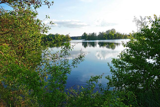 Still ruht der (Ried)See. Doch im Ortschaftsrat Pfohren brodelt es.