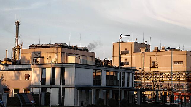 Das Evonik-Werk in Rheinfelden ist in der Produktion stark vom Gas abhängig.