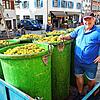 Winzer Herbert Schellinger hat sechs Zuber voll mit Weintrauben zum Winzerverein in die Meersburger Unterstadt gebracht. Ab 2024 muss er ...