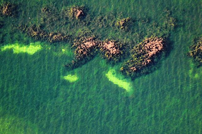 Bild 10: Bodensee oder Kroatien? Wenn Niedrigwasser atemberaubende Farben offenbart