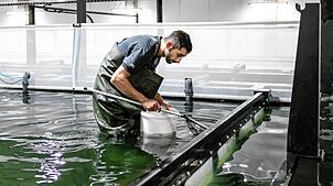 Das Bezirksgericht Rheinfelden hat über die Swiss Shrimp AG den Konkurs eröffnet.
