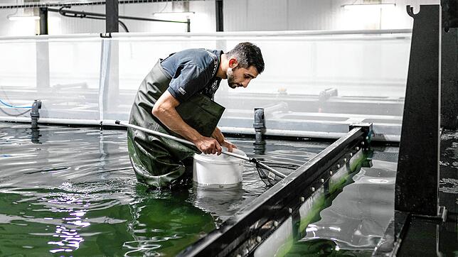 Das Bezirksgericht Rheinfelden hat über die Swiss Shrimp AG den Konkurs eröffnet.