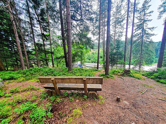 Der Villinger Wald wurde durch ein regenreiches Jahr gestützt. Naherholungsgebiete wie hier am Uhustein werden so stabilisiert.