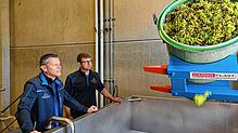 Am 18. September 2024 geht es los: Meersburger Winzer bringen ihre erste Ernte in die neue Kelterhalle des Meersburger Winzervereins. ...
