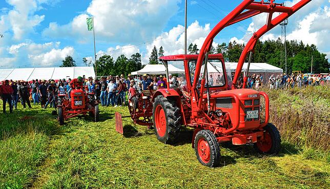 Die Fahr-Schlepperfreunde aus Gottmadingen zeigten mit Ihren Oldtimerfahrzeugen und Maschinen eine Heuernte wie sie vor über 50 Jahren ...