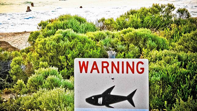 Ein Schild mit der Aufschrift „Warning shark sighting“ (dt. Achtung Hai gesichtet). (Symbolbild)