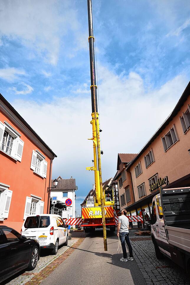 Bild 6: 18 Meter hoher Narrenbaum schwebt per Kran ins Museum ein: Der ungewöhnliche Einsatz der Zimmerergilde für die Fasnachts-Ausstellung in Bildern