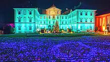 (Archivbild) Besuch der Mainau im Dezember 2024: Ein Highlight war das Lichtermeer, das mit einem Ausmaß von 2300 Quadratmetern mit ...