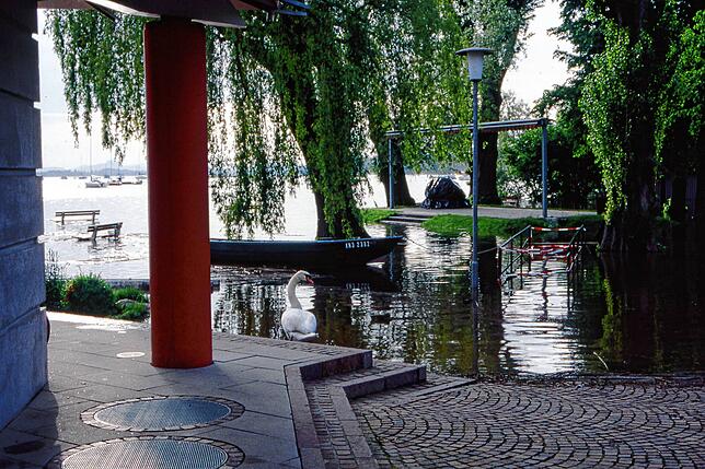 Bild 23: Archivfotos vom Hochwasser 1999: Reichenau vom Festland abgeschnitten