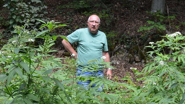 Peter Zickenrott zeigt die Stelle im Wald, wo immer noch Reste von Möbeln liegen. Vom Panoramaweg aus ist der Unrat nicht zu erkennen – ...