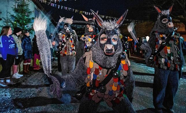 Bild 12: Bilder vom Nachtumzug beim Narrentreffen in Thalheim