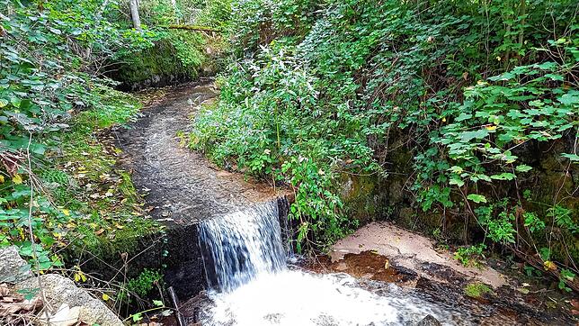 Der Schlamm wurde über den Schildbach in die Alb eingetragen. Rechts neben der Schwelle sind am 21. September immer noch Sedimentreste ...
