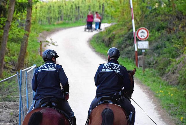 Sie reiten noch ein Stück weiter, kehren kann um und dann geht es wieder zurück durch den Ort und zum Naturschutzgebiet. Alles war ruhig ...