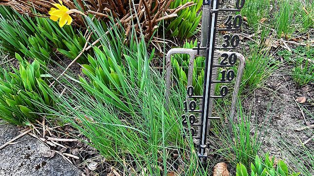 Das Thermometer ist für Hobbygärtner vor allem im zeitigen Frühjahr ein wichtiges Werkzeug. Denn die Grünlandtemperatur ist ein ...