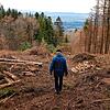 Das Bild zeigt, wie die Situation auf dem Hotzenwald ist. Ralf Engel ist es wichtig, einen nachhaltigen, naturnahen, standortgerechten ...
