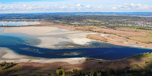 Rundflug über Konstanz und Reichenau im April 2025: So sieht das Wollmatinger Ried bei Niedrigwasser aus der Luft aus.