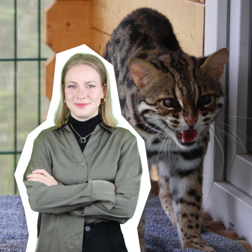 Wildtierbesitzer aufgepasst: Hier müsst ihr eure Tiere jetzt melden
