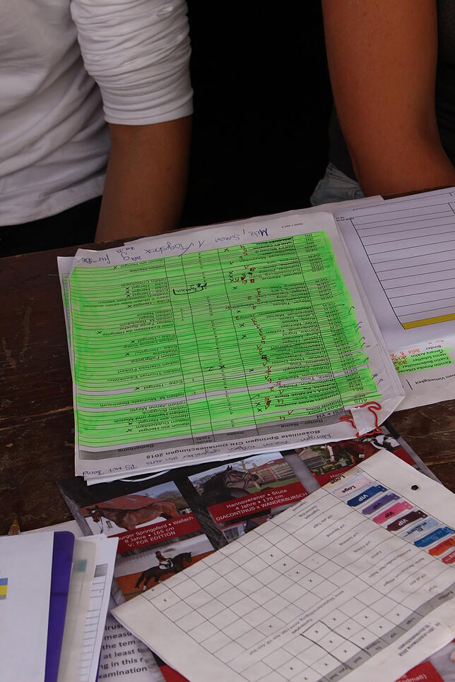 Die grüne Liste beinhaltet die Vorgaben der Pferdebesitzer, wie und wo ihre Tiere im Stall untergebracht werden sollen. Teilweise wird ...