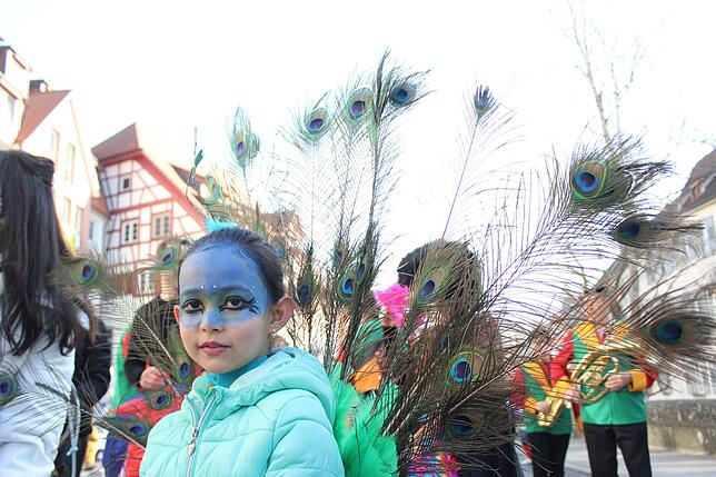 Bild 6: Kindergartenumzug: "1000 Kinder ziehen auf die Hofstatt"