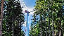 So könnte es auch im Meßkircher Stadtwald bei Rohrdorf mal aussehen. Das Bild zeigt ein Windrad im Windpark Falkenhöhe in ...