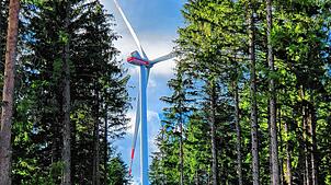 So könnte es auch im Meßkircher Stadtwald bei Rohrdorf mal aussehen. Das Bild zeigt ein Windrad im Windpark Falkenhöhe in ...