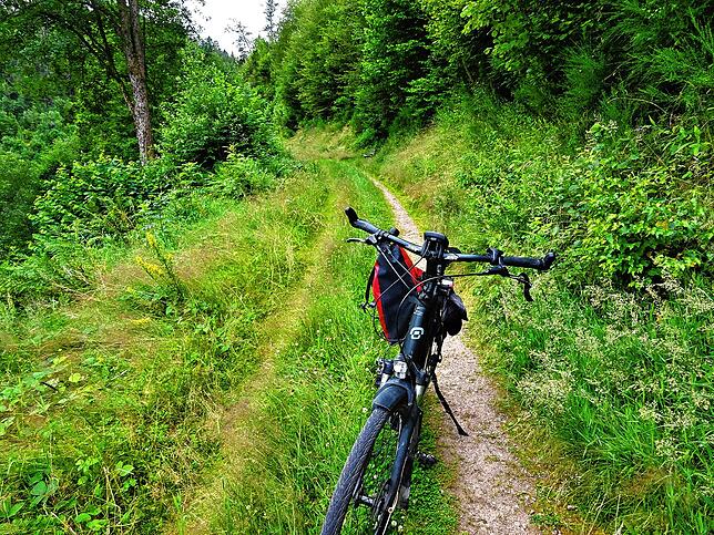 Steile Schotterpiste und zugewuchert, ein unzumutbarer Radweg, den Triberg so nicht verdient hat.