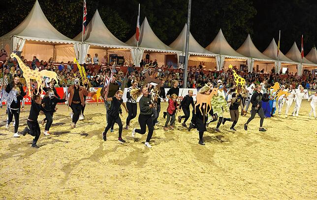 Bild 4: So spektakulär war der Showabend beim Fest der Pferde