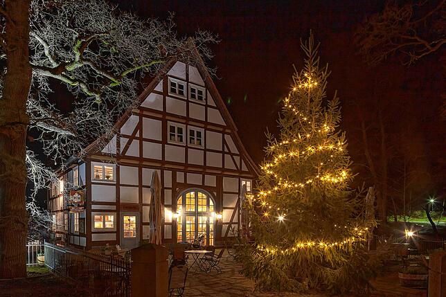 Auch wenn keine Tiere im Bild sind: Im Tierpark Sababurg wird Adventsmarkt gefeiert.
