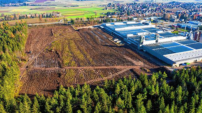 Auf der gerodeten Fläche sollen Gewerbeflächen für Handwerker, Kleingewerbe und Büros entstehen.