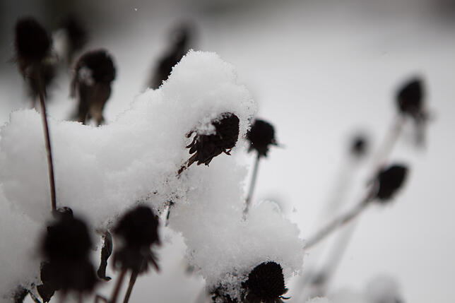 Bild 14: Bilder: So sieht der Winter in Konstanz aus