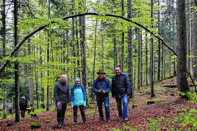 Teilnehmer sind begeistert vom Waldbaden und betonen die „entspannende“ und „wohlfühlende“ Atmosphäre.