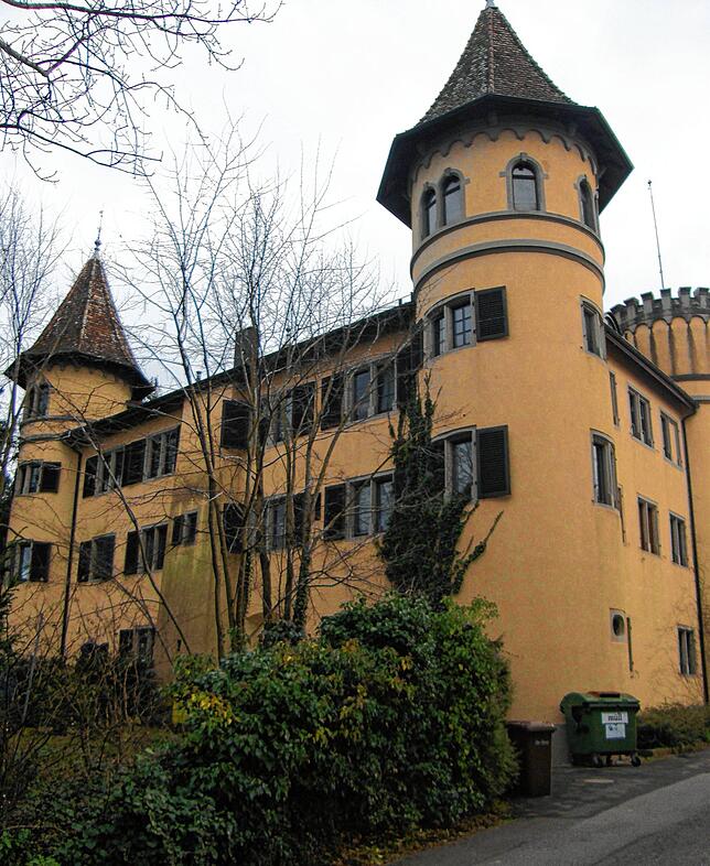 Schloss Königsegg bereitet der Gemeinde Reichenau Sorgen.