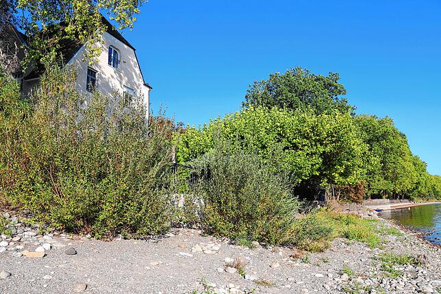 Eine Villa auf der Mettnau, wo Menschen nun vorbeispazieren können.
