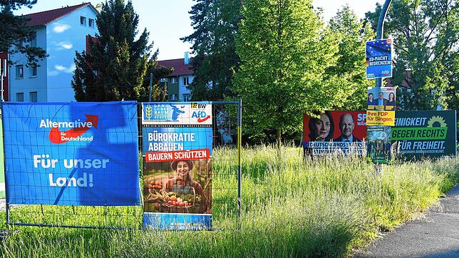 Wahlplakate in Singen: Eins drängelt sich an der Radolfzeller Straße in den Vordergrund.