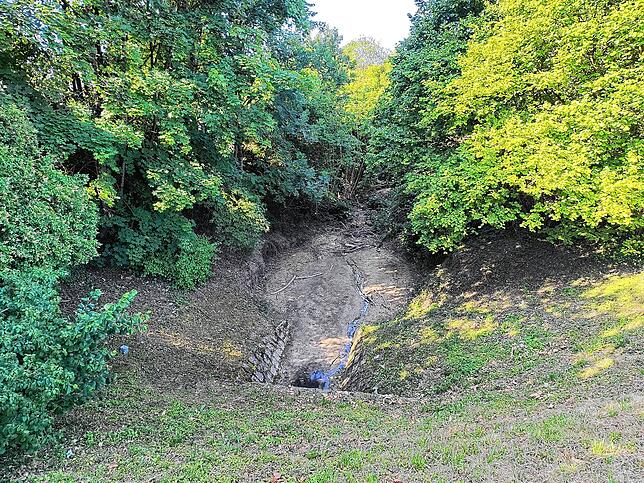 Der Muldenbach ein Jahr später: Nach den extrem trockenen und heißen vergangenen Wochen ist er aktuell nur noch ein Rinnsal. Die Stadt ...