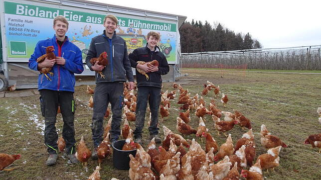 Die Arbeit am Hühnermobil macht (von links) Johannes, Christian und Matthias Hutt, hier mit ihren Lieblingshühnern Emma, Else und ...
