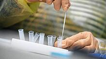 Wer seinen Status als genesen oder geimpft nicht nachweist, muss für den Zutritt zu den Werksgeländen täglich einen gültigen Corona-Test ...