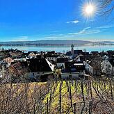 Vom Höhrenberg hat man einen herrlichen Blick über den Gnadensee, zur Reichenau, zur Höri und in Richtung Mettnau, Radolfzell und ...