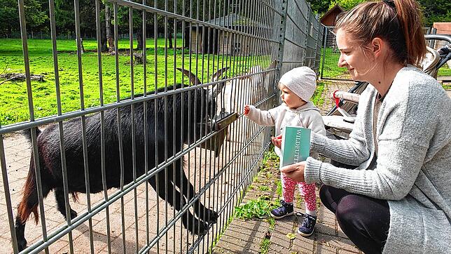 Der Streichelzoo in Kappel ist ein beliebtes Ausflugsziel für Familien. Das Bild von Jennifer Geiger aus Königsfeld mit ihrer Tochter ...