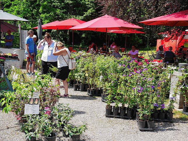 Impressionen von der Gartenlust-Ausstellung im Park von Schloss Schönau