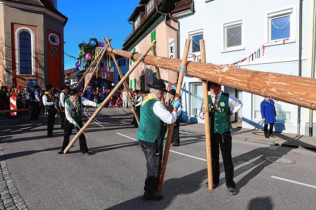 Bild 1: Mit einem Narrenbaumstellen eröffnete Ludwig Egenhofer in Allensbach das Seenarrentreffen 2024