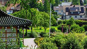 Der japanische Garten in Bonndorf wurde 1994 eingeweiht. Er ist mit Pflanzen bestückt, die in Japan heimisch und für das Land typisch ...